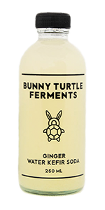 Bunny Turtle Ferments Ginger Water Kefir Soda