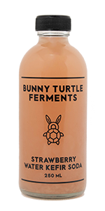 Bunny Turtle Ferments Strawberry Water Kefir Soda